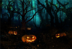 Halloween Photography Backdrop Firefly Forest Background