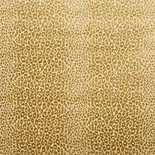 Gold Cheetah Gift Wrapping Roll - 24 X 833' - Gift Wrapping Paper - Type: Colored Ink On 50# Paper by Paper Mart