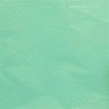 Cool Mint Premium Glossy/Matte Tissue Ppr - 20 X 26 - 1.2 mil thick - Quantity: 400 - Tissue Paper by Paper Mart