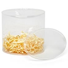 Clear Oval Plastic Containers - 5-3/8 X 3-1/2 X 3-3/4 - Cardboard - Quantity: 24 - Plastic Boxes by Paper Mart